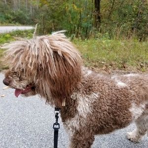 Meet your Posher, Ted